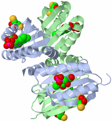 Image Biological Unit 1