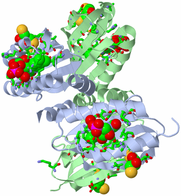 Image Biol. Unit 1 - sites