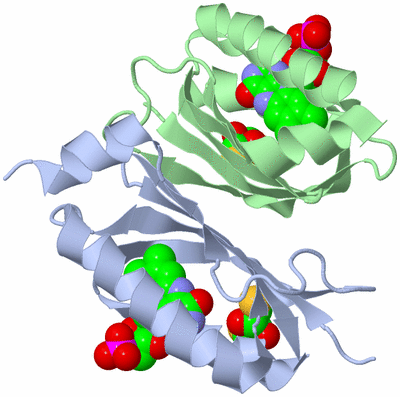 Image Asym./Biol. Unit