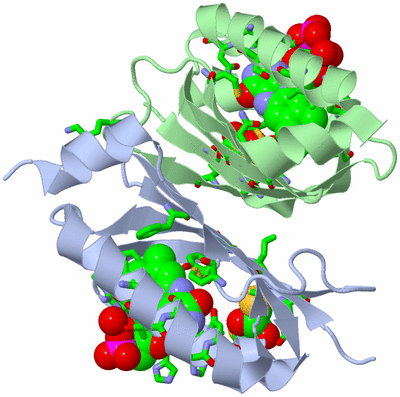 Image Asym./Biol. Unit - sites