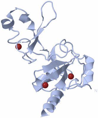 Image Biological Unit 1