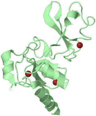 Image Biological Unit 2