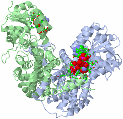 Image Biol. Unit 1 - sites