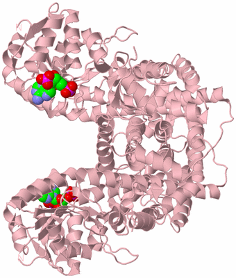 Image Biological Unit 2