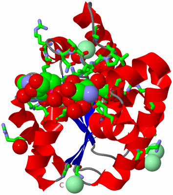 Image Asym./Biol. Unit - sites