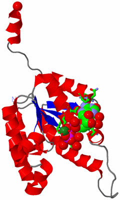 Image Asym./Biol. Unit - sites