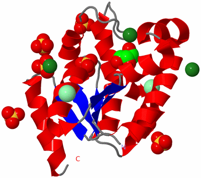 Image Asym./Biol. Unit