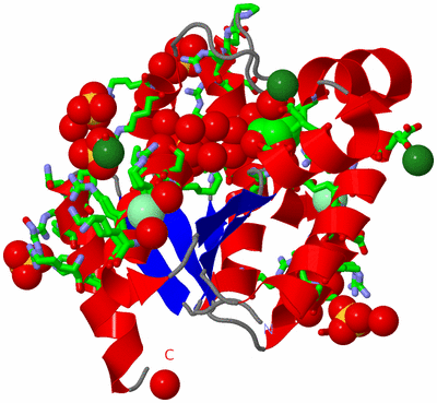 Image Asym./Biol. Unit - sites