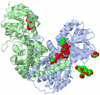 Image Biological Unit 1