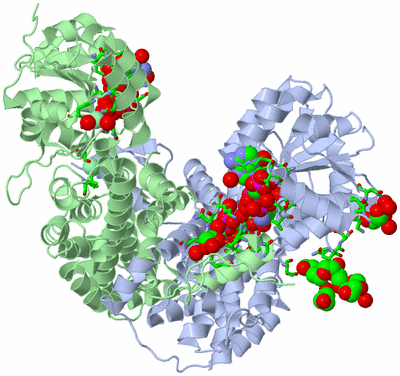 Image Biol. Unit 1 - sites