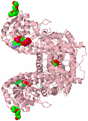 Image Biological Unit 2