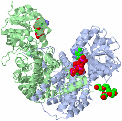 Image Biological Unit 1