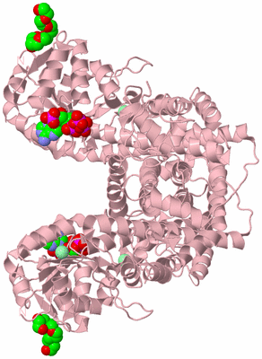 Image Biological Unit 2