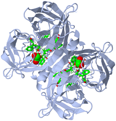 Image Biol. Unit 1 - sites