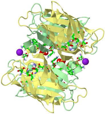 Image Biol. Unit 1 - sites