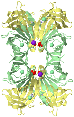 Image Biological Unit 2