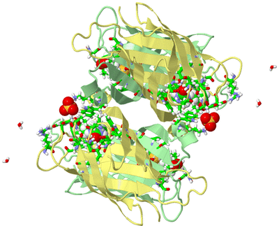 Image Biol. Unit 1 - sites