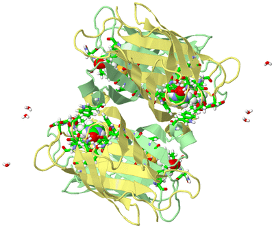 Image Biol. Unit 1 - sites