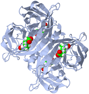 Image Biological Unit 1