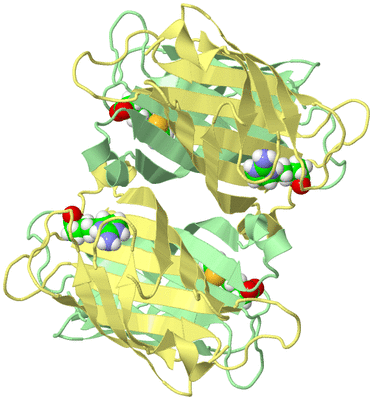 Image Biological Unit 1