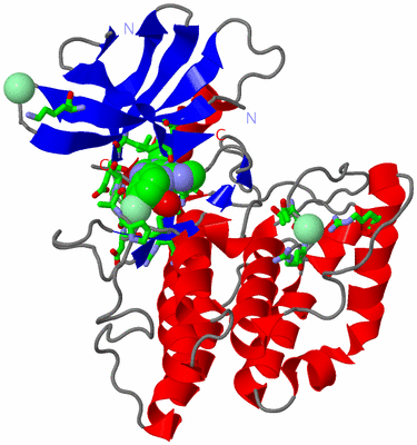Image Asym./Biol. Unit - sites