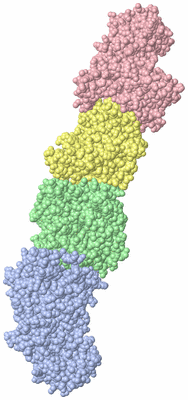 Image Asymmetric Unit