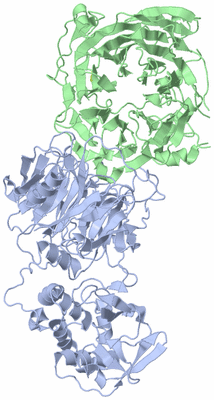 Image Biological Unit 1