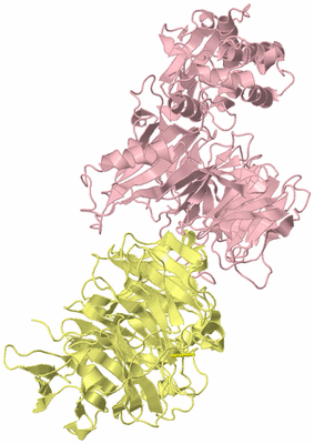 Image Biological Unit 2