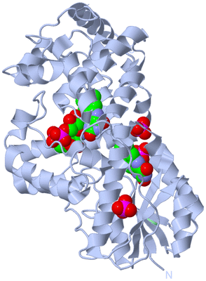 Image Biological Unit 1