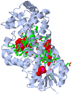 Image Biol. Unit 1 - sites