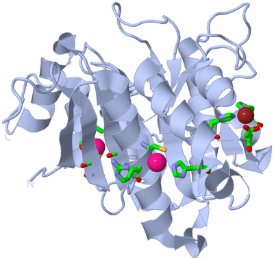 Image Biol. Unit 1 - sites