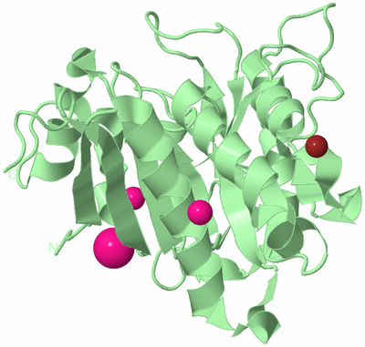 Image Biological Unit 2