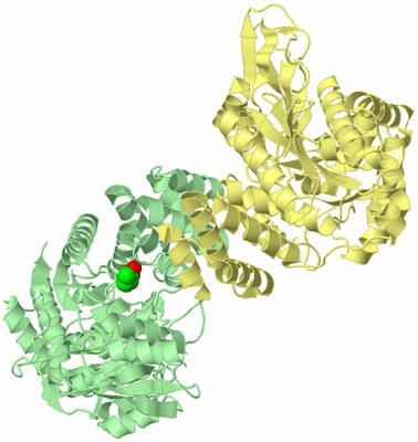 Image Biological Unit 2