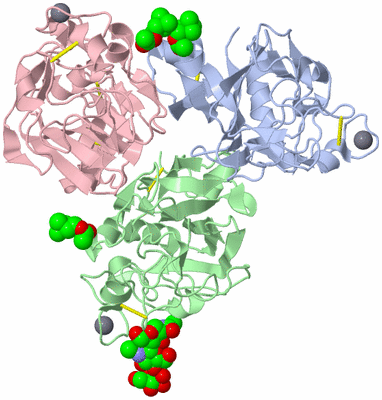 Image Biological Unit 1