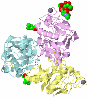 Image Biological Unit 2