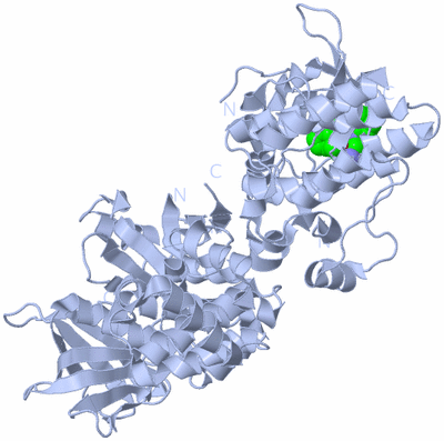 Image Biological Unit 1