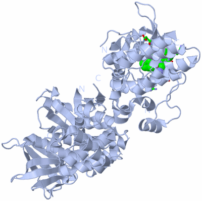 Image Biol. Unit 1 - sites