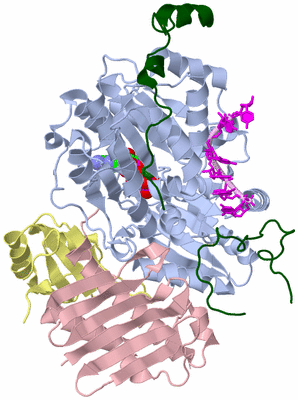 Image Biological Unit 1