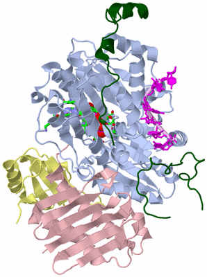 Image Biol. Unit 1 - sites