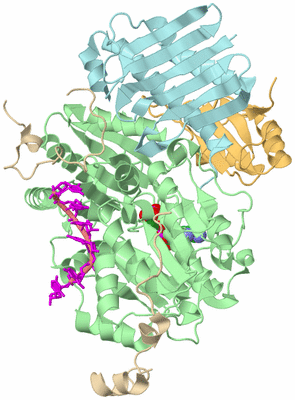 Image Biological Unit 2