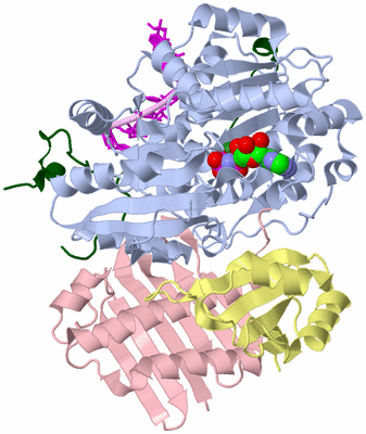 Image Asym./Biol. Unit