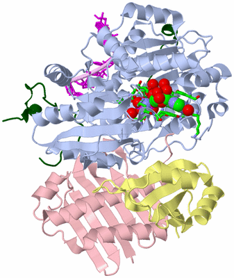 Image Asym./Biol. Unit - sites