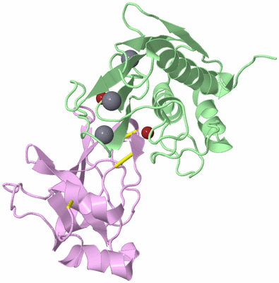 Image Biological Unit 2