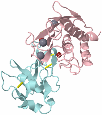 Image Biological Unit 3