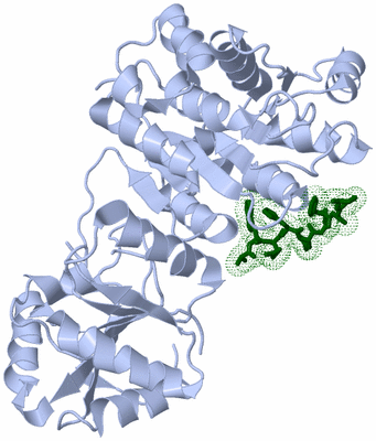 Image Biological Unit 1