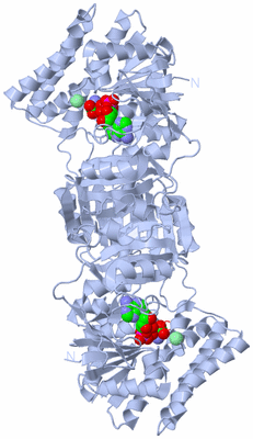 Image Biological Unit 1