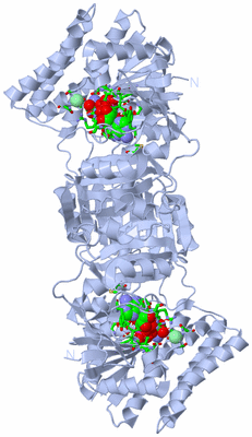 Image Biol. Unit 1 - sites