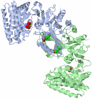 Image Asym./Biol. Unit