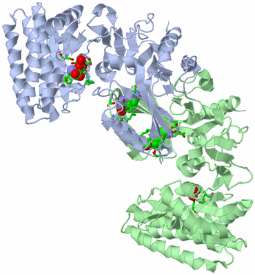 Image Asym./Biol. Unit - sites