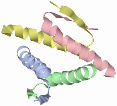 Image NMR Structure - model 1